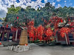 -国恩寺