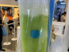 -兰熊鲜奶(西直门凯德mall店)
