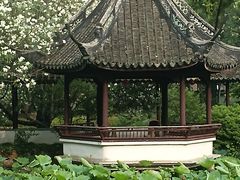 -上海醉白池公园