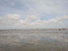 -南汇新城海滩