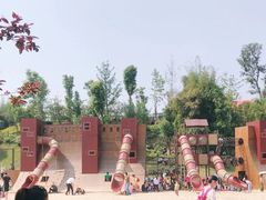 -枫香湖儿童公园