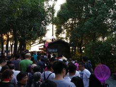 景点-溱湖国家湿地公园