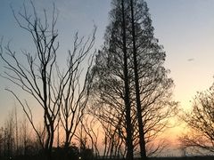 -艾溪湖湿地公园