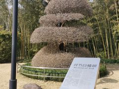 -苏州河梦清园环保主题公园