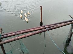 -君豪蟹都·湖景·农家乐(蟹舫苑店)