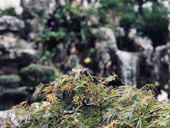 -檀园