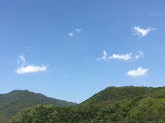 -青峰峡国家森林公园
