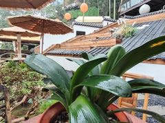 -伴山茶苑·围炉煮茶