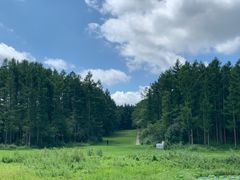 -长春净月潭风景名胜区