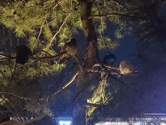 -有喜胶东小馆(太申祥和店)