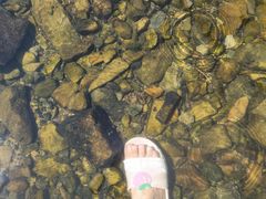 -北仑森林植物园