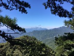 -内乡宝天曼生态旅游区