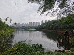 -重庆彩云湖湿地公园