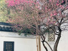 -八大山人梅湖景区