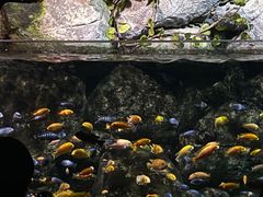 -杭州海底世界
