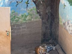 -西霞口神雕山野生动物世界