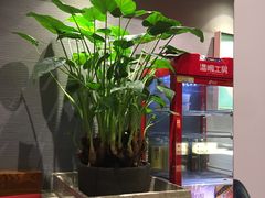 -渝是乎川渝小炒(新世界百货望京店)