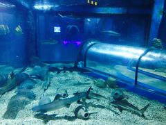 -福州罗源湾海洋世界旅游区