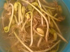 -阿斯牛牛·凉山菜(新会展店)
