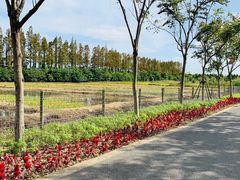 -上海长兴岛郊野公园