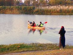 -春花秋色城市公园