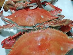 -云南巷海鲜大咖·可加工海鲜