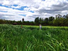 -永定河休闲森林公园