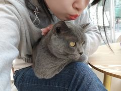 -猫咪派对(江南西店)