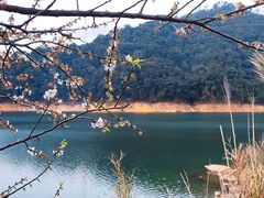 -广州市流溪河国家森林公园