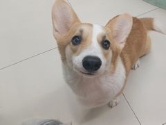 -怪兽屋·羊驼·猫咖·狗咖(俊华广场店)