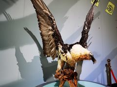 -青藏高原自然博物馆