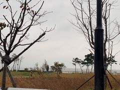 -青岛海泉湾度假区温泉