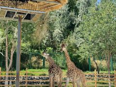 -水上乐园·欢乐世界