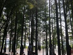 -东湖落雁景区