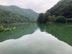 -桃花岭景区