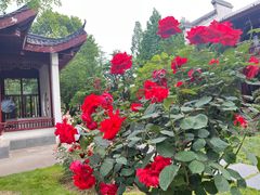 -堤角公园
