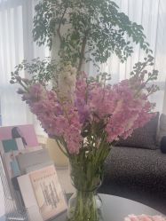 -JNK皮肤管理中心