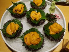 活海胆-本逸·割烹料理(湖墅店)