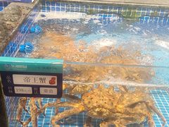 -东海怡品海鲜豆捞(星街坊店)
