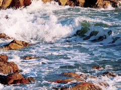 -张记油条(宁波路店)