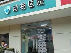 -中农大我爱我爱24h动物医院·中医针灸·猫专科·骨科医疗中心(双井店)