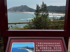 -广东惠东海龟国家级自然保护区