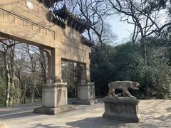 -灵谷景区