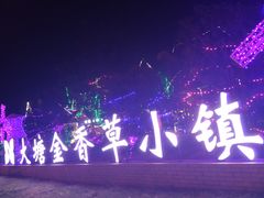 -大塘金香草谷