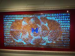 -上海昆虫博物馆