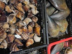 -潮粤香海鲜酒楼(沙湖店)