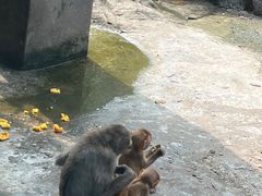 -宁波野生动物园