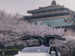 -TESLA 特斯拉(上海太古汇体验店)