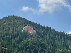 -龙口南山旅游景区