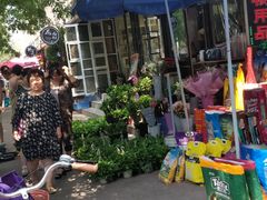-宝鸡东道花鸟鱼虫市场(吉利花园商场店)